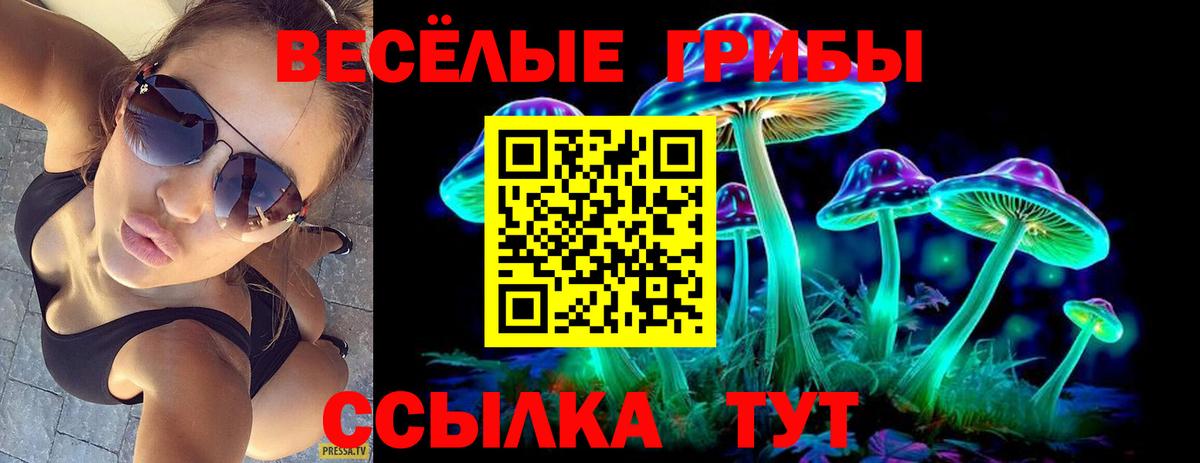 Галлюциногенные грибы Cubensis Обь